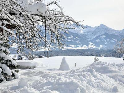 Alphirt Ferienwohnungen Fischen im Allgaeu Εξωτερικό φωτογραφία